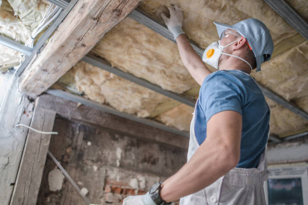 Professional Insulation Contractor in Cayuga, IN