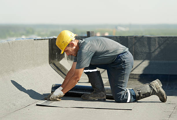 Best Residential Insulation in Cayuga, IN