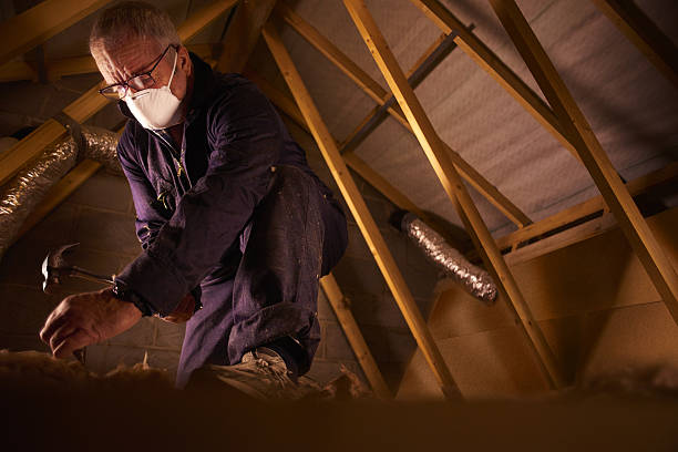 Best Geographic-Specific Insulation Services in Cayuga, IN