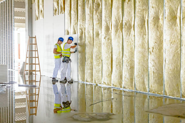 Best Energy Efficiency Insulation in Cayuga, IN